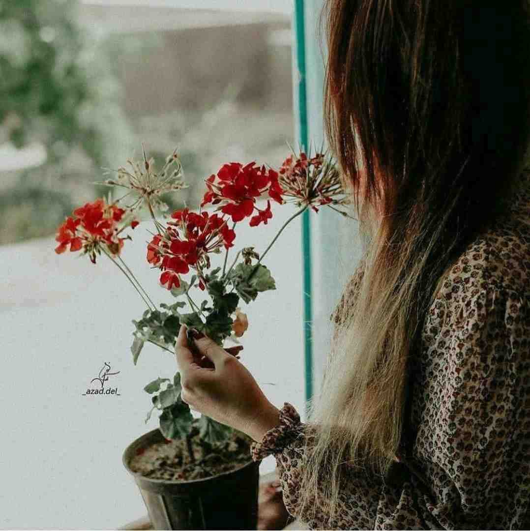 چشم چشم دو ابرو دوس داری باز واسم ناز کنی من توی زندگیتم