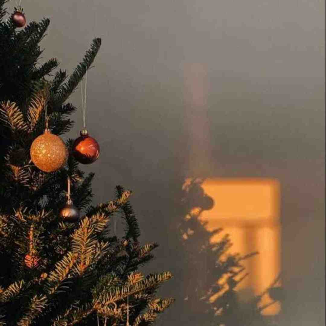  عسل منه شکر منه دانه دانه نبات منه