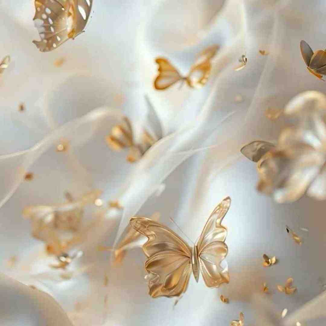  نشد بشیم همیشگی ما کنسرت اینستاگرامی