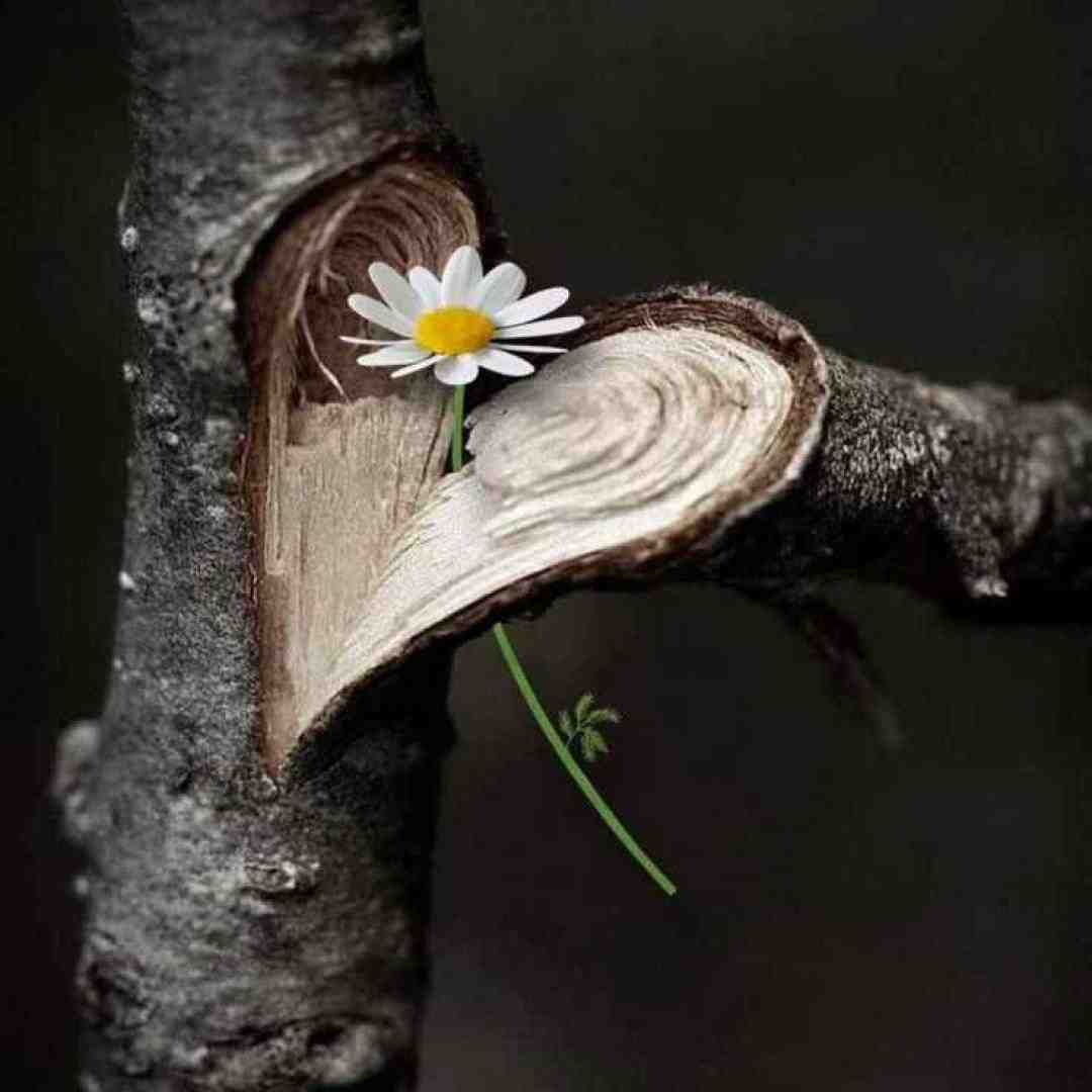  پری پریا آی حنا گلپریا آی حنا با صدای بچه