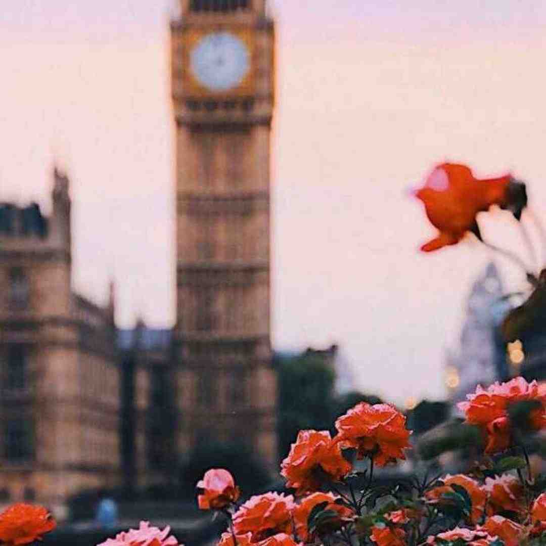  من هنوز عکسای دوتایی مونو دارم ورژن اینستاگرامی