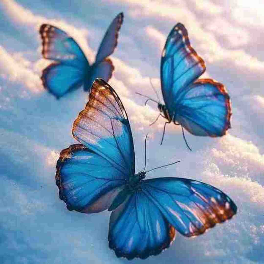  عشقش اینکاره شبو روزه بی خواب ورژن اینستاگرامی