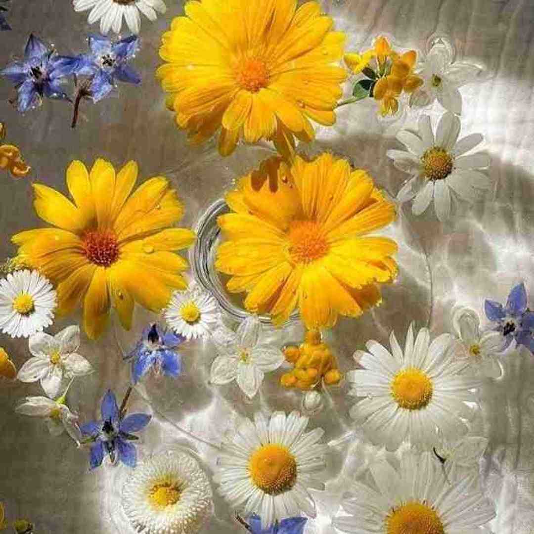  فکرم هنوز به تو درگیره دلم به عشق تو با صدای بچه اینستاگرامی