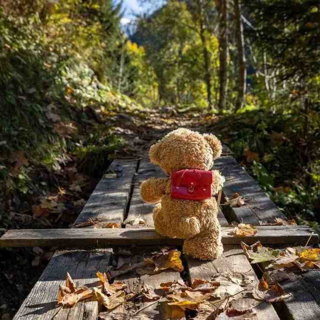  انگار قدمام به این خیابونا ورژن اینستایی