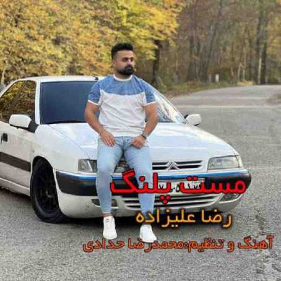 رضا علیزاده مست پلنگ