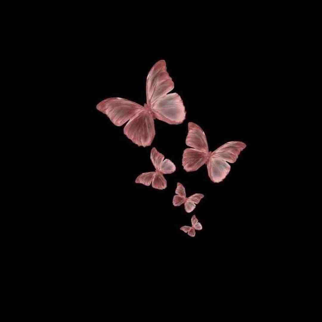 منو نگاه کن حرف میزنم باتو نمتونم ازت چشم بردارم