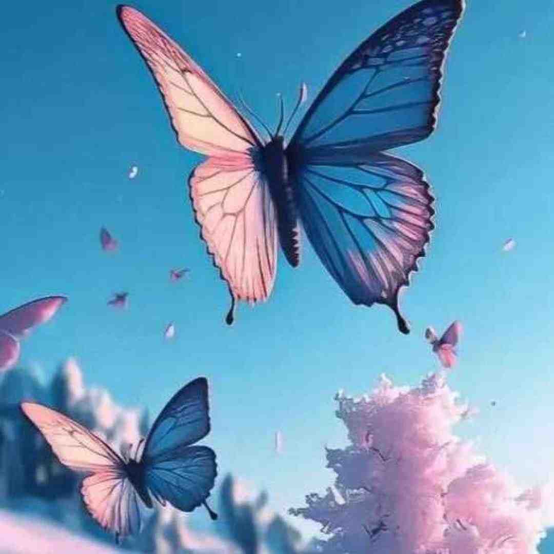  مثلت نیست نباشی یه لحظه بی تو من آروم ندارم