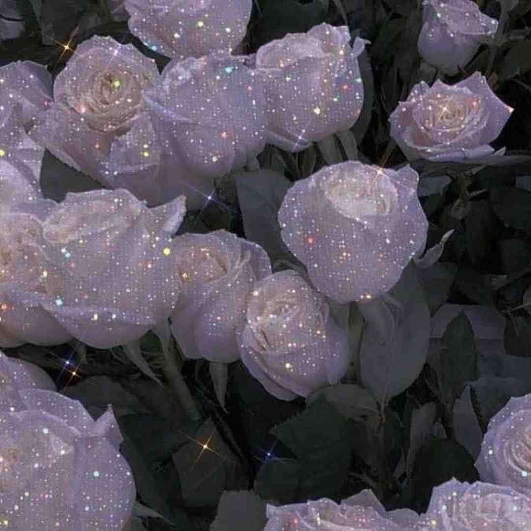 فرق میکنی بذار اینو بهت بگم اینستایی