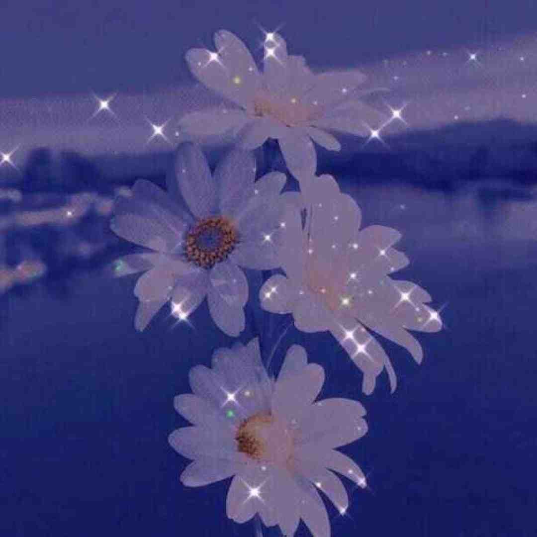  بدون تو یه مروارید مشکی بی صدف من ته مردابم