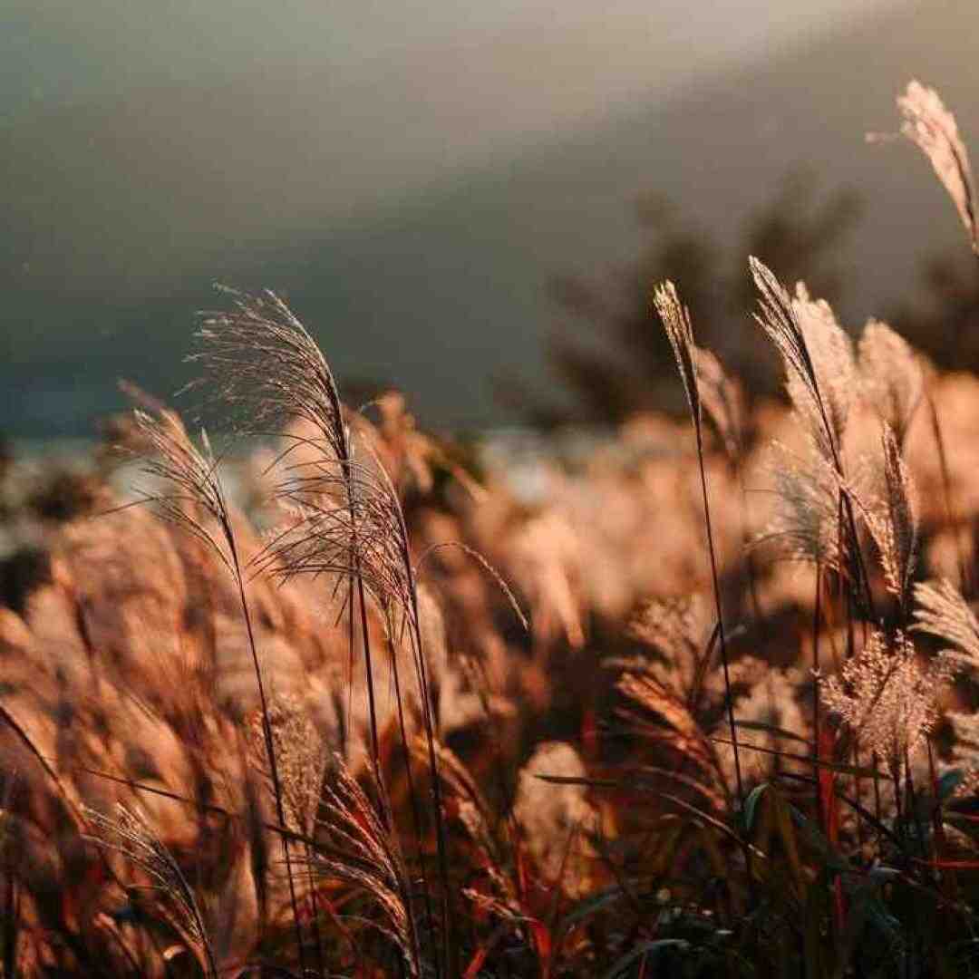  آسمون نارنجیه ابرا شدن تیره با صدای بچه