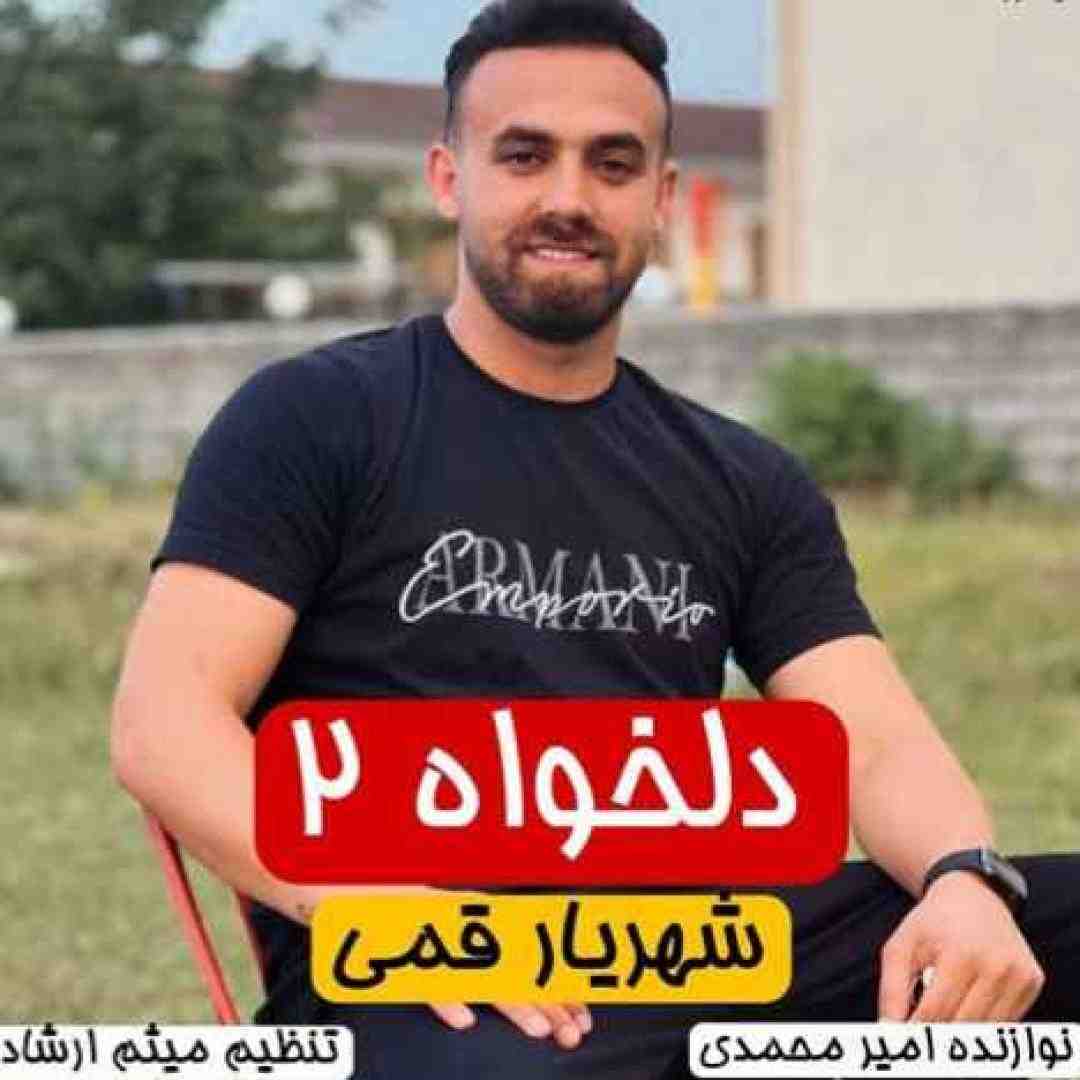 شهریار قمی دلخواه 2