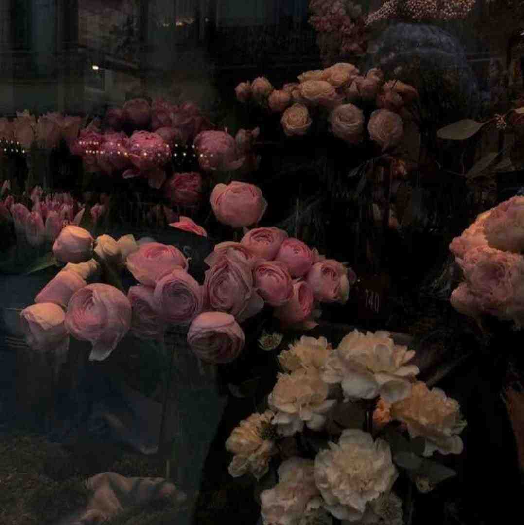 تو تک سوار عاشق من پری قصه ها بشم اجرای گروهی