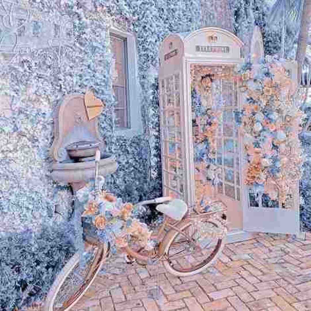 فاطمه عطایی یار