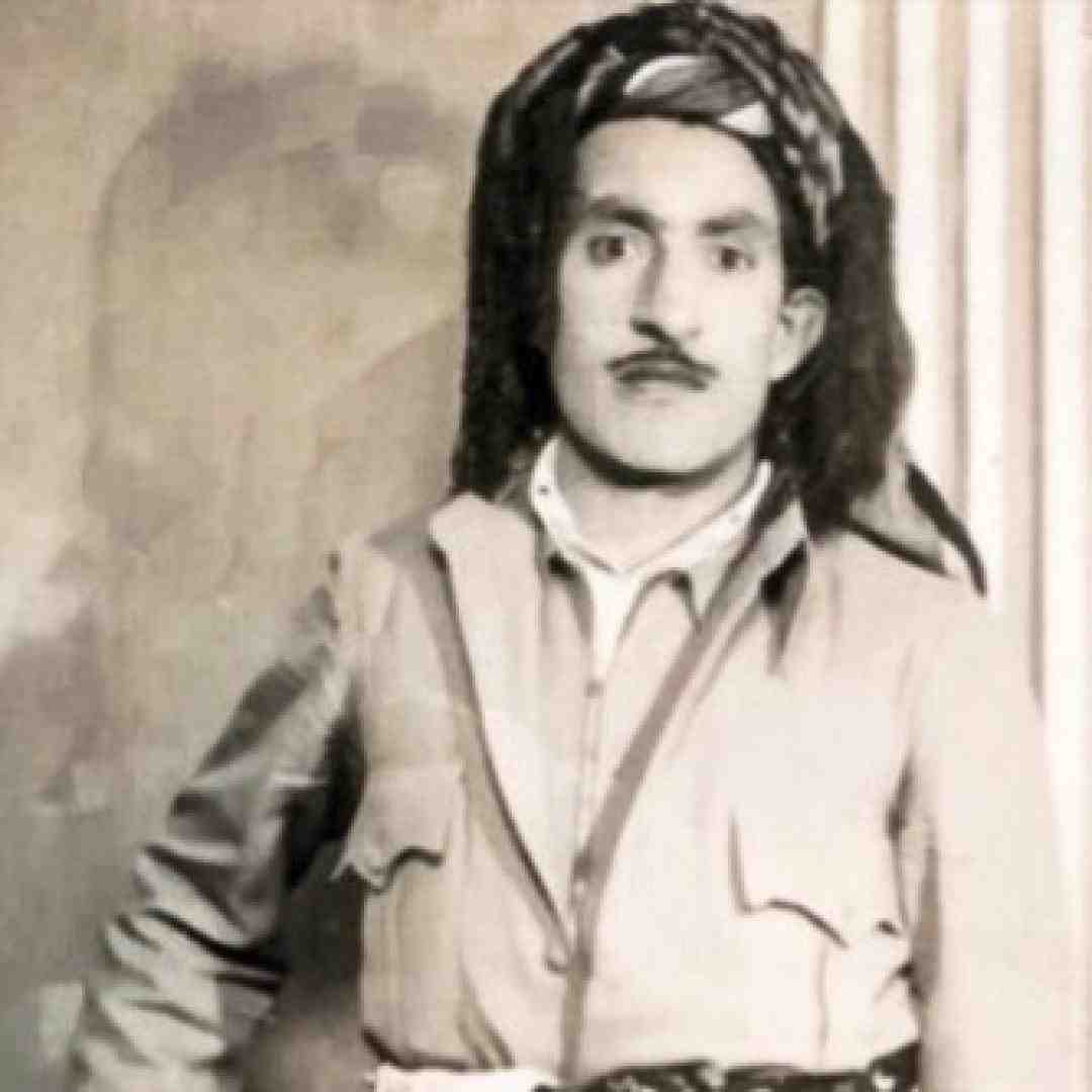 حسن زیرک به یانیت باش