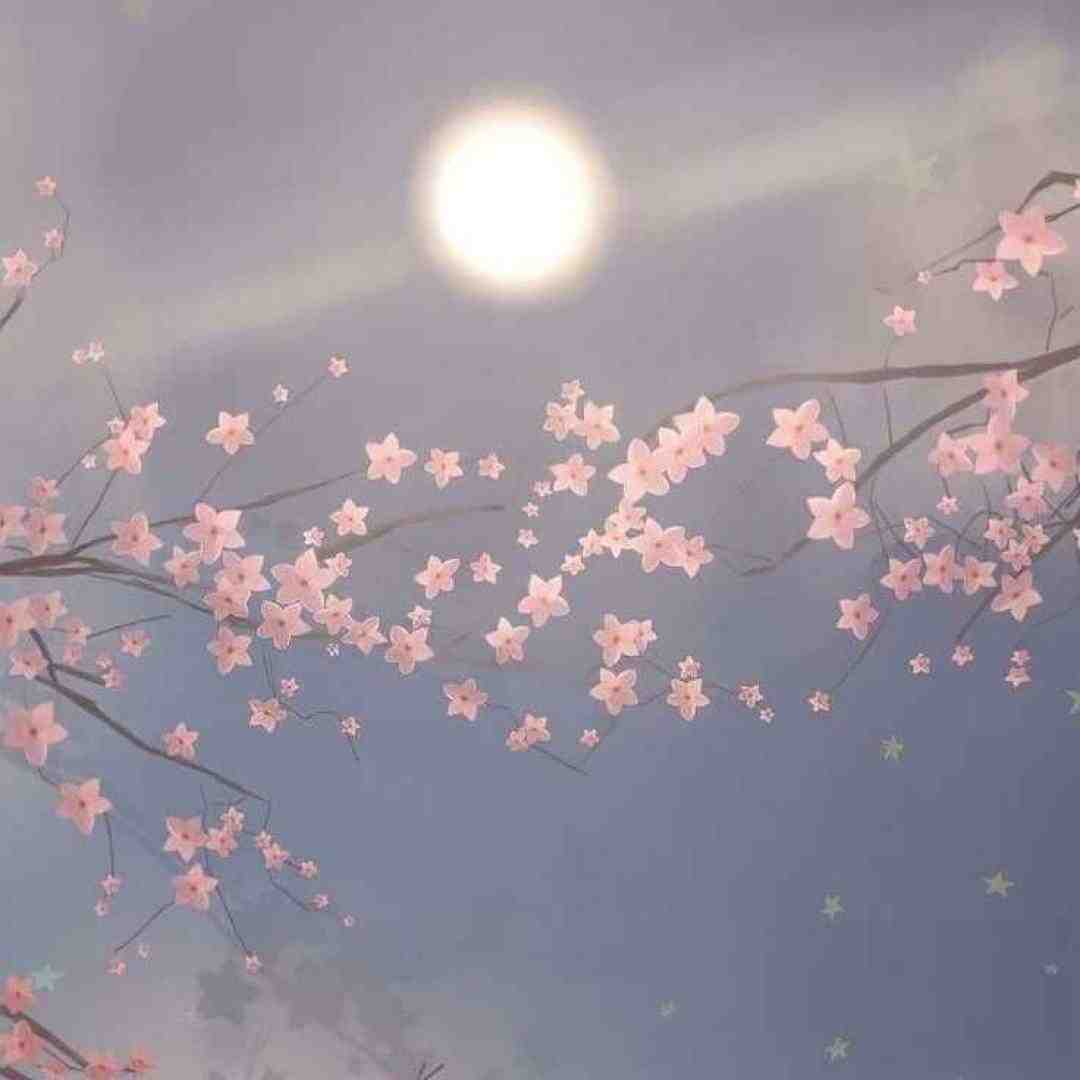 فرهاد زیاک و یاسمنا دیگه نوری نیس