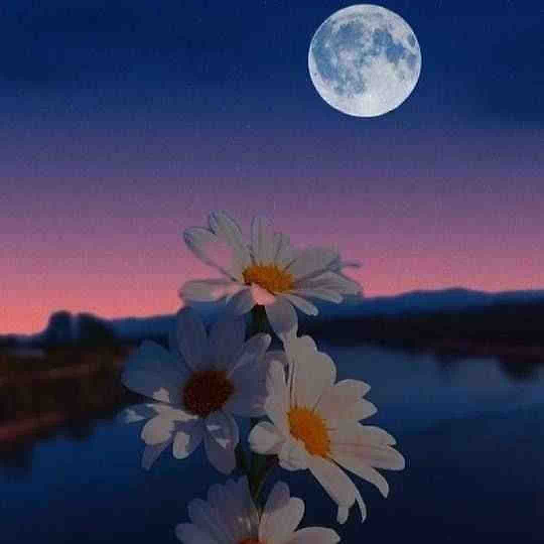  در سکوت شب خانه زد فریاد ورژن صدای بچگانه