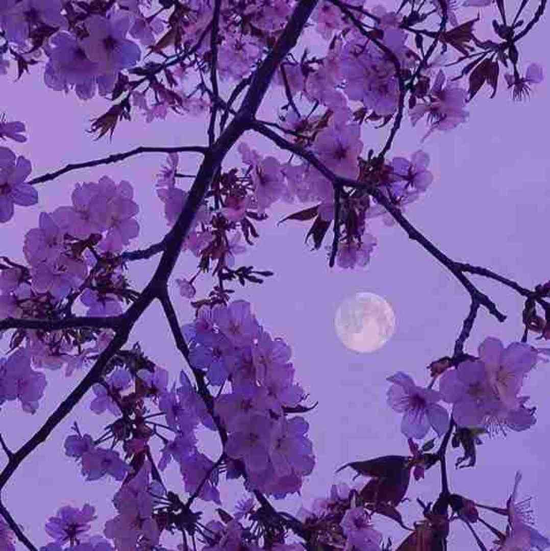  خسته شدم از این همه دونستن دمت گرم که تو هم تونستی 