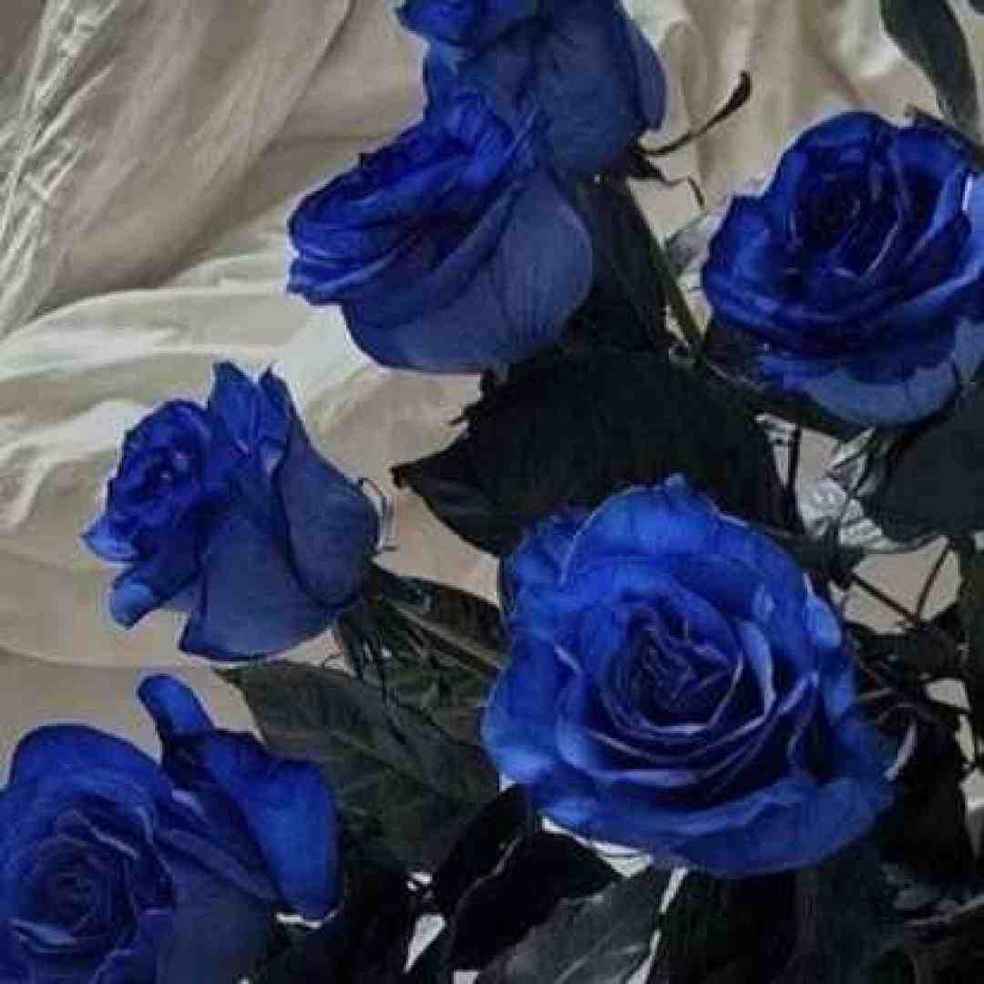  بدجوری به تو گیرم من بری میمیرم من ورژن گیتار