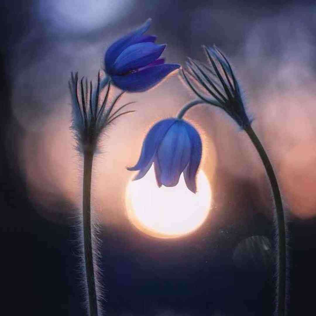 با تو باید دل به دریا زد جای دیوانه مرا با صدای بچه
