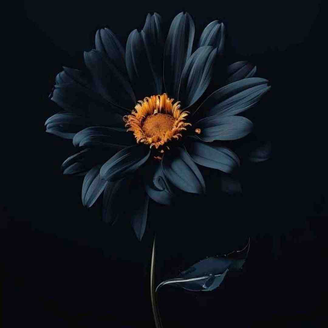  تو فقط بگو میمونی بیبی با صدای بچه