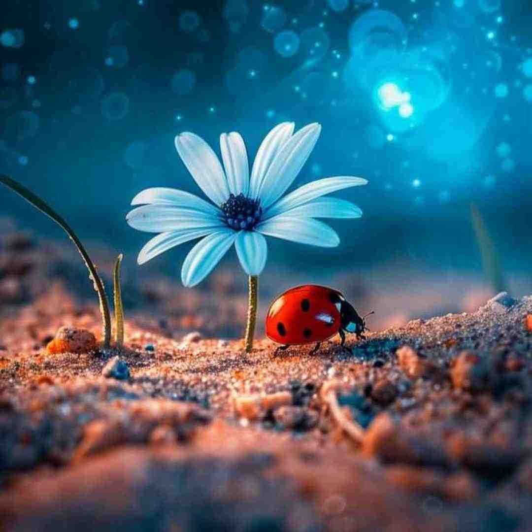 کی مثل من واسه تو قلب شکسته اش با صدای پسر