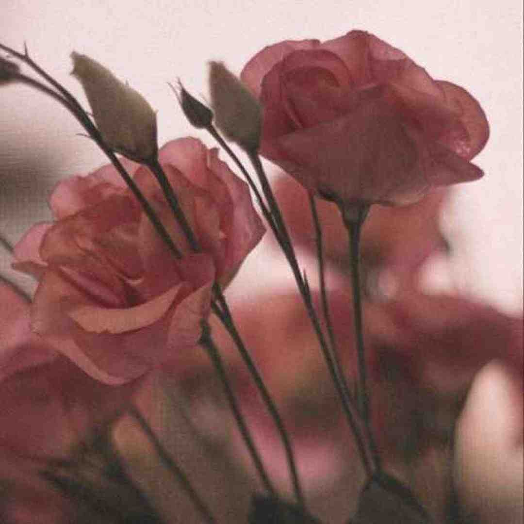  عشق که نیست که جنگه دل که نیست که سنگه