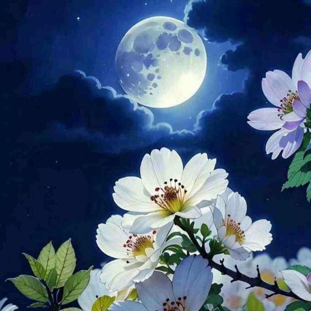  یک شب به خودم آمدم و هیچ ندیدم (دشی)