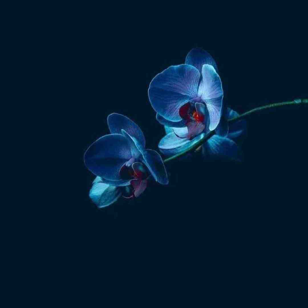 چقد دلبر شدی اینجوری که موهاتو میدی بالا با صدای بچه