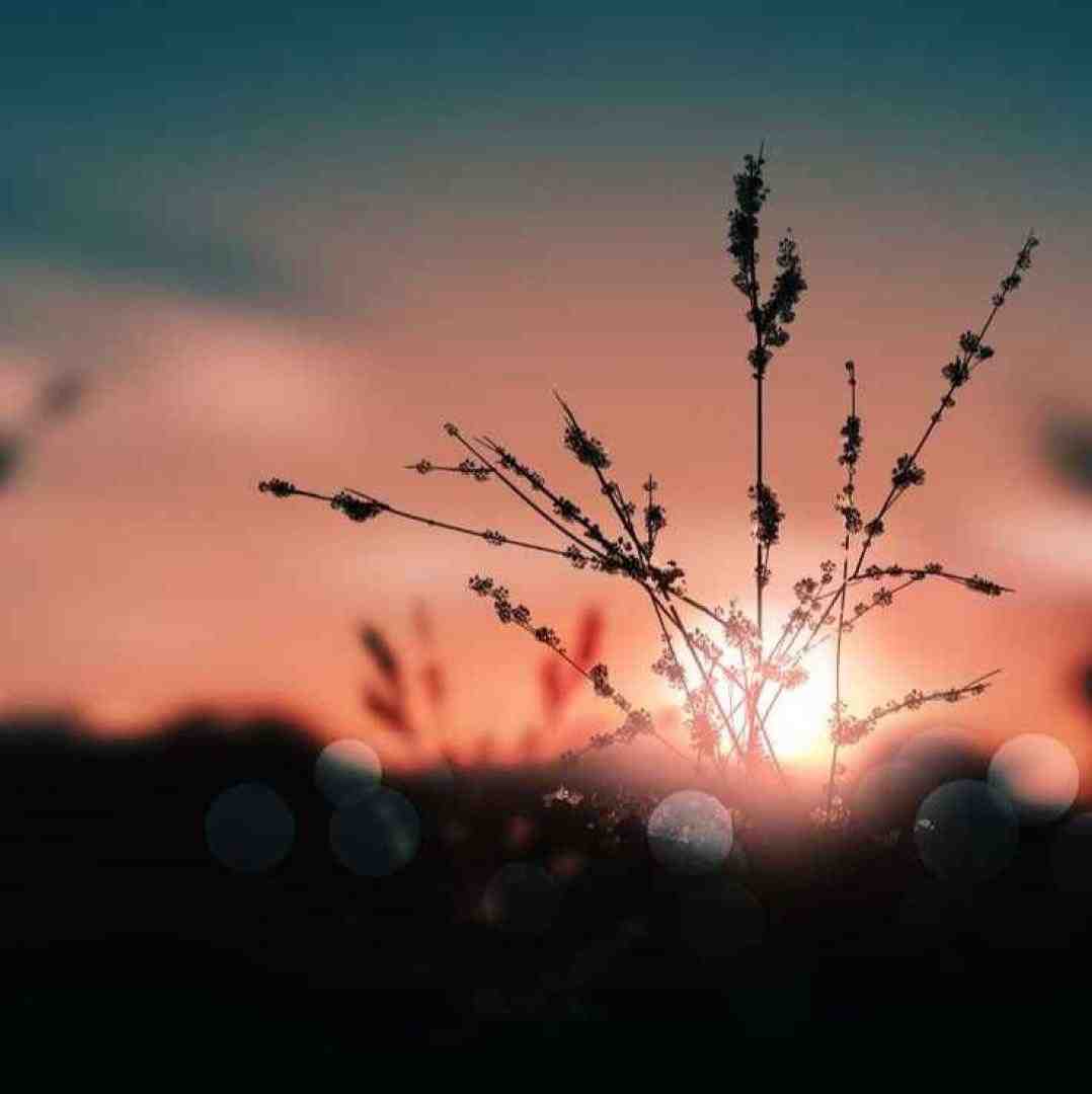  بیقرارم ای نگارم تو کجایی خبر ندارم پرسه های بی امانم در خیابان