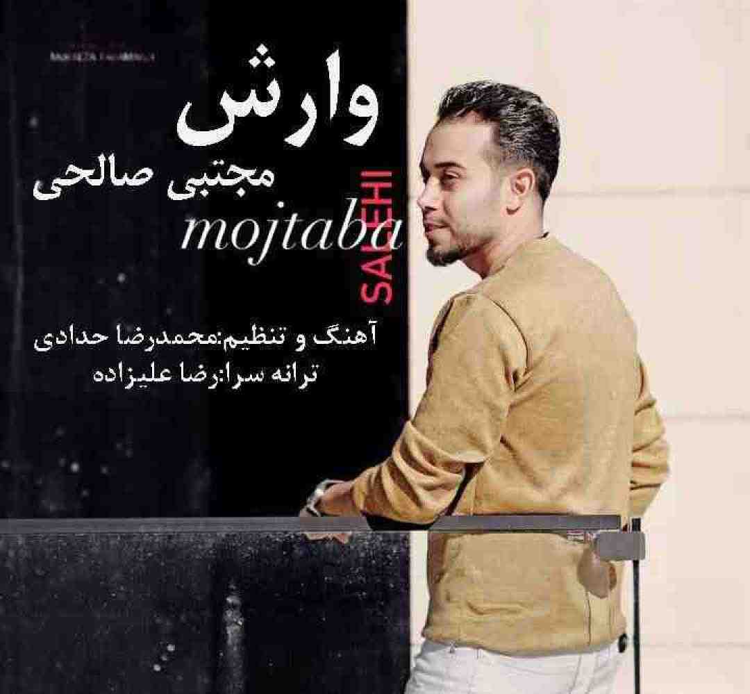مجتبی صالحی وارش