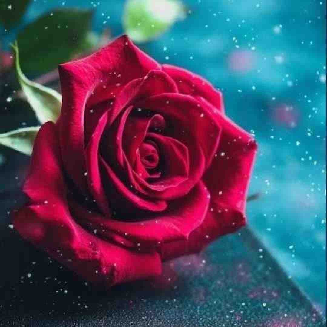  عاشق تیزی مثل سامورایی
