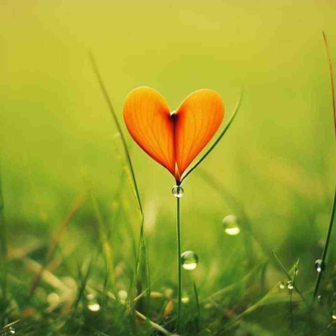  من اوزوم گدرم یاناجاقسا بیری سن ریمیکس اینستاگرامی