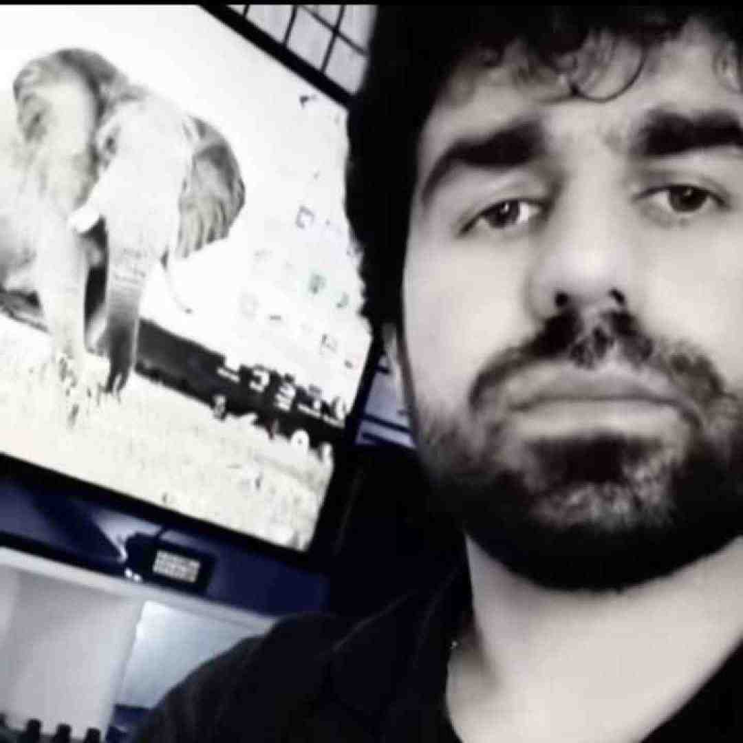 یوسف جمالی کوکه کوکم بد مسه مس