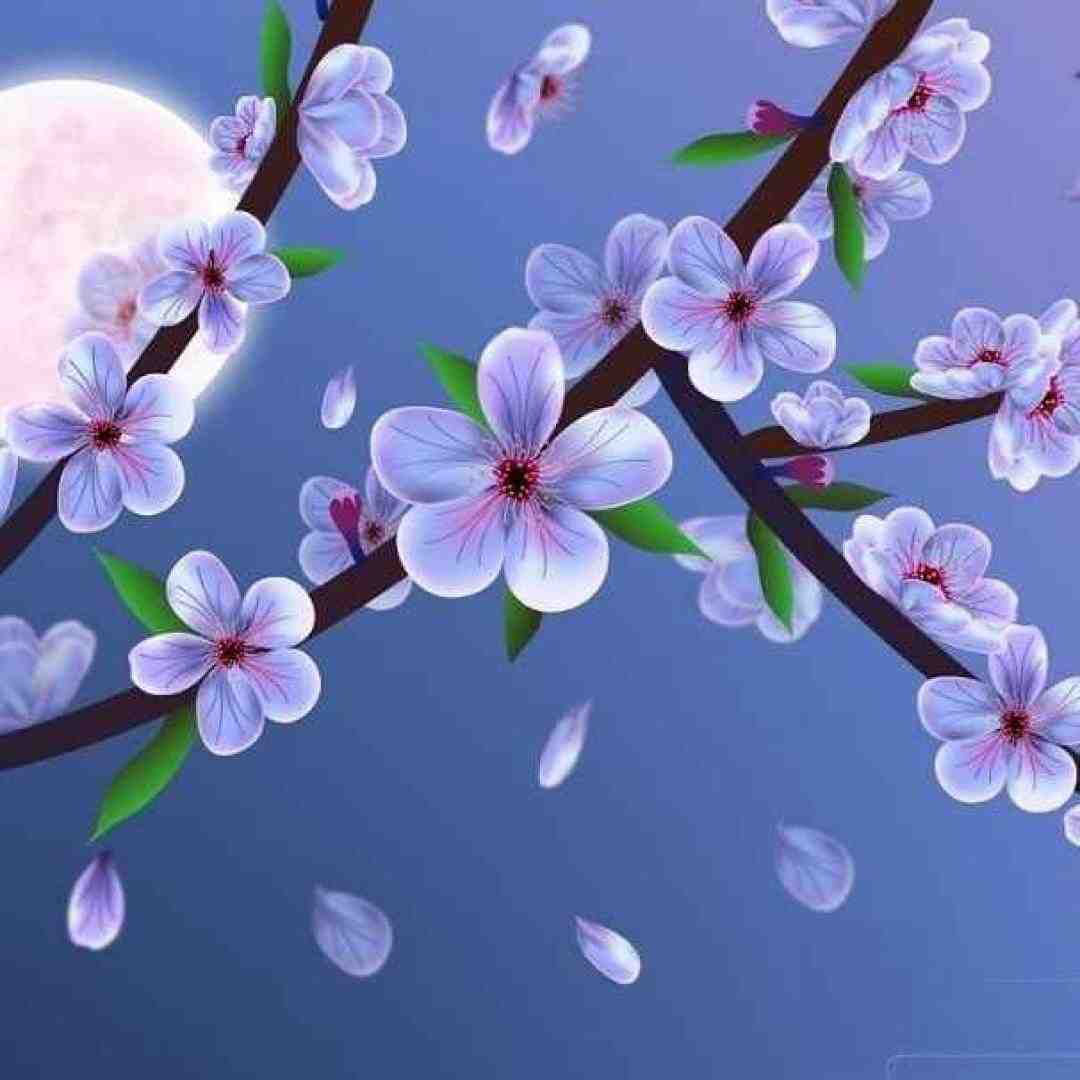  از اون دیدار اول دل منو بردی ورژن کنسرت