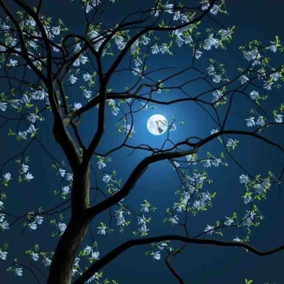  عیده میرم به خونمون داد میزنم ای جان با صدای بچه