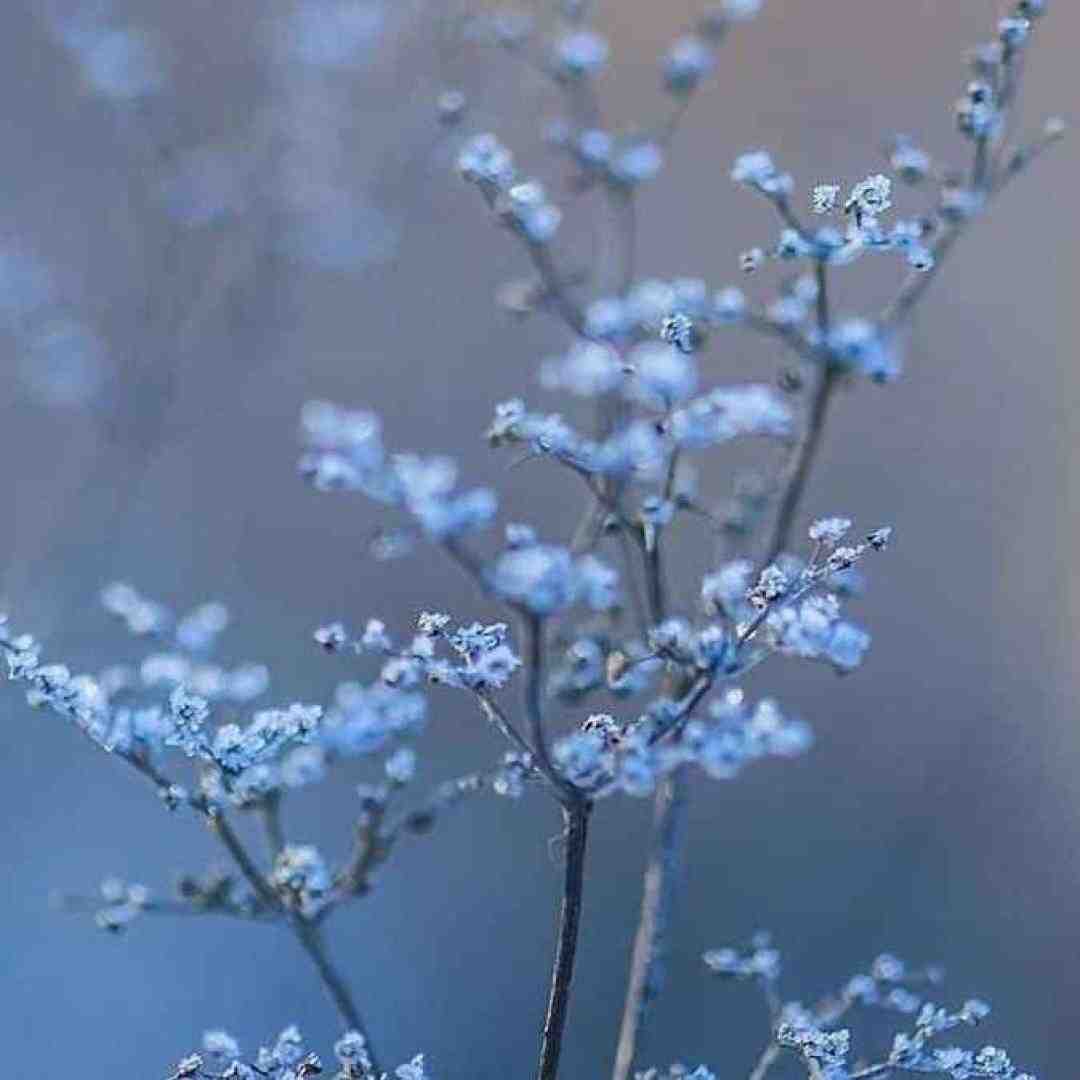  ناز نکن ناز نکن ناز نکن با صدای پسر اینستاگرامی