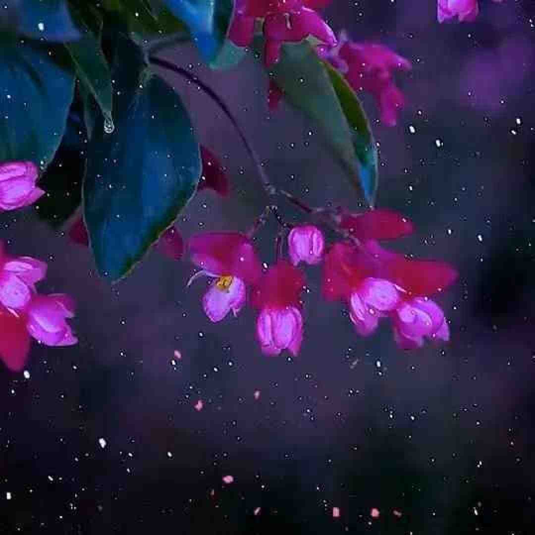  ابرو به من کج نکن کج کلاه خان ورژن کنسرت