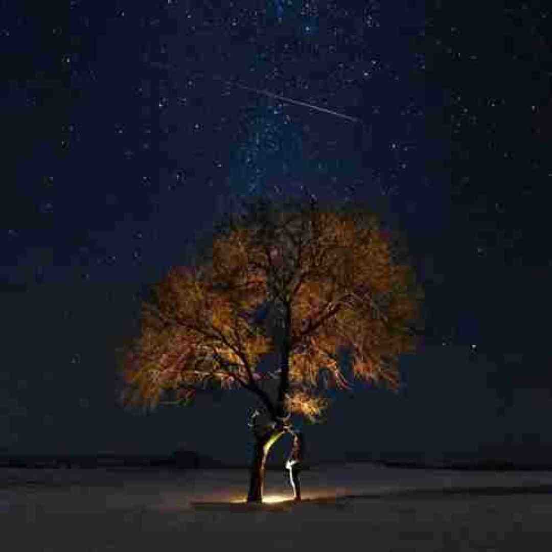 من به تو دلم گرمه مهم نی قبل تو