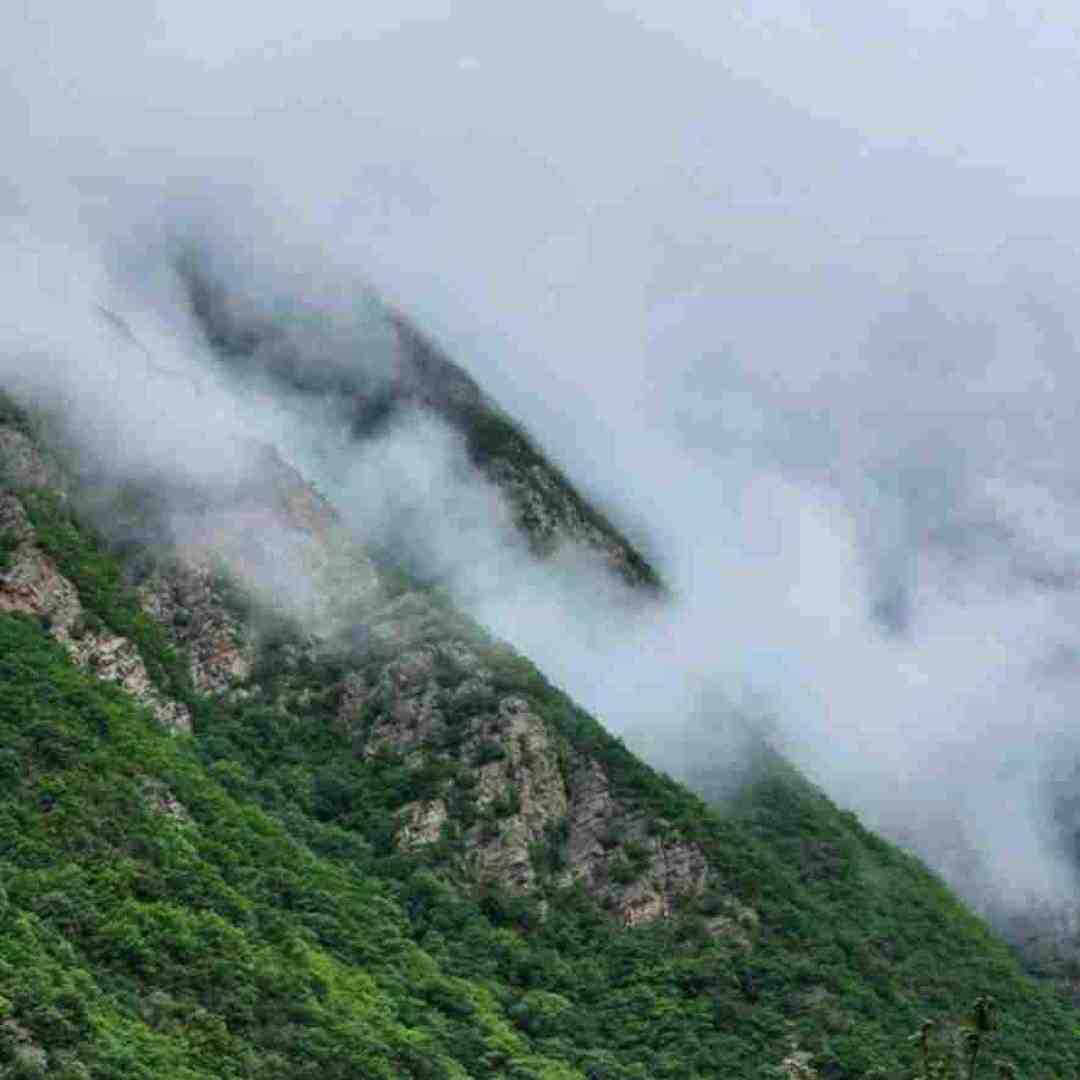  عشق و این حرفا چیه بابا شما چشم مایی