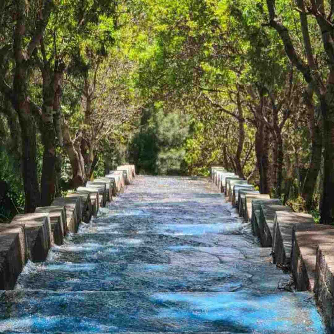  آره آره جدی میگم میریم تو پارتی اکیپی گنگ