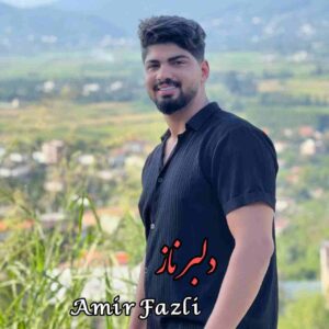 دانلود آهنگ دلبر ناز از امیر فضلی
