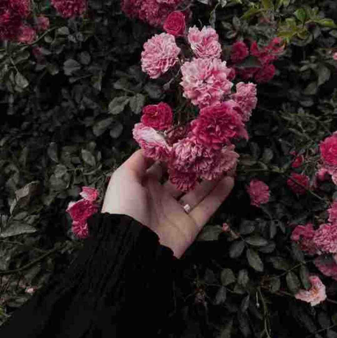  وقتی چشم قشنگ تو افتاد تو چشمای من با صدای بچه