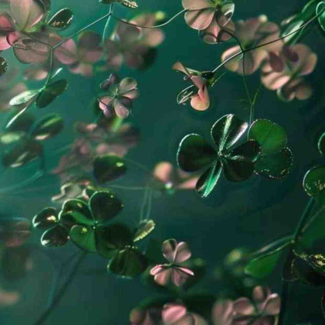  منو ول نکنی تو تنهایی ها کاشکی مثلا یدفعه با صدای پسر
