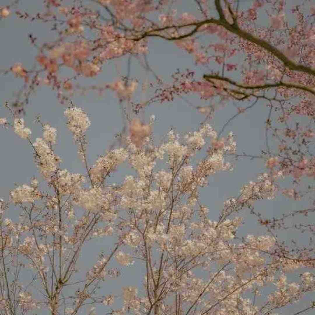  تو عاشق نبودی هوش مصنوعی