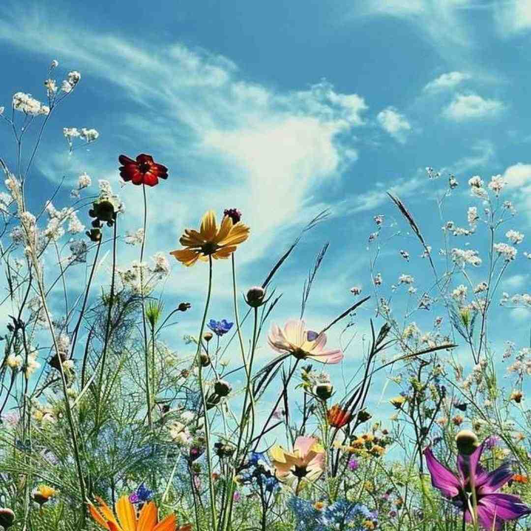  ببعی تو بازیگوشی مثل منی باهوشی