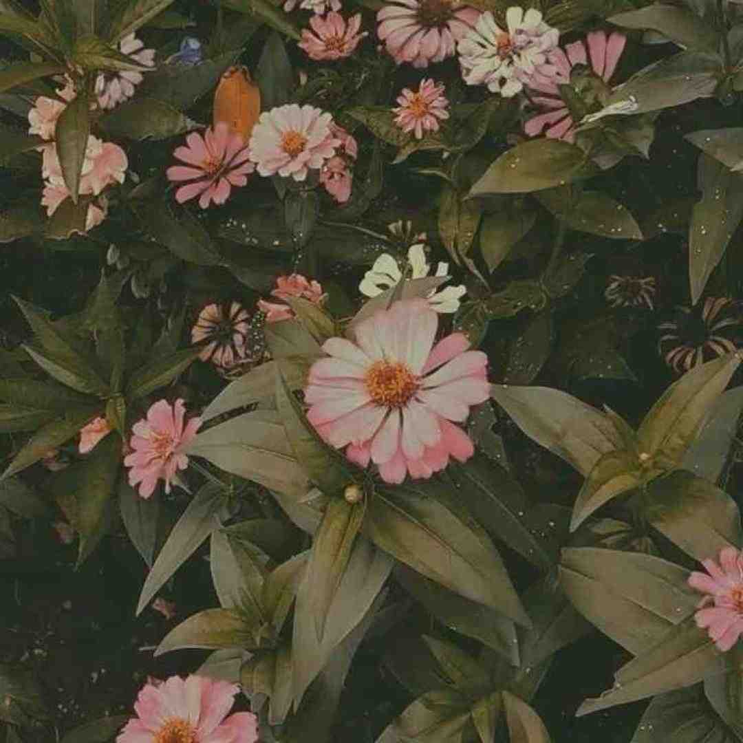  هر یه روز یه سالمه روی در نگاهمه