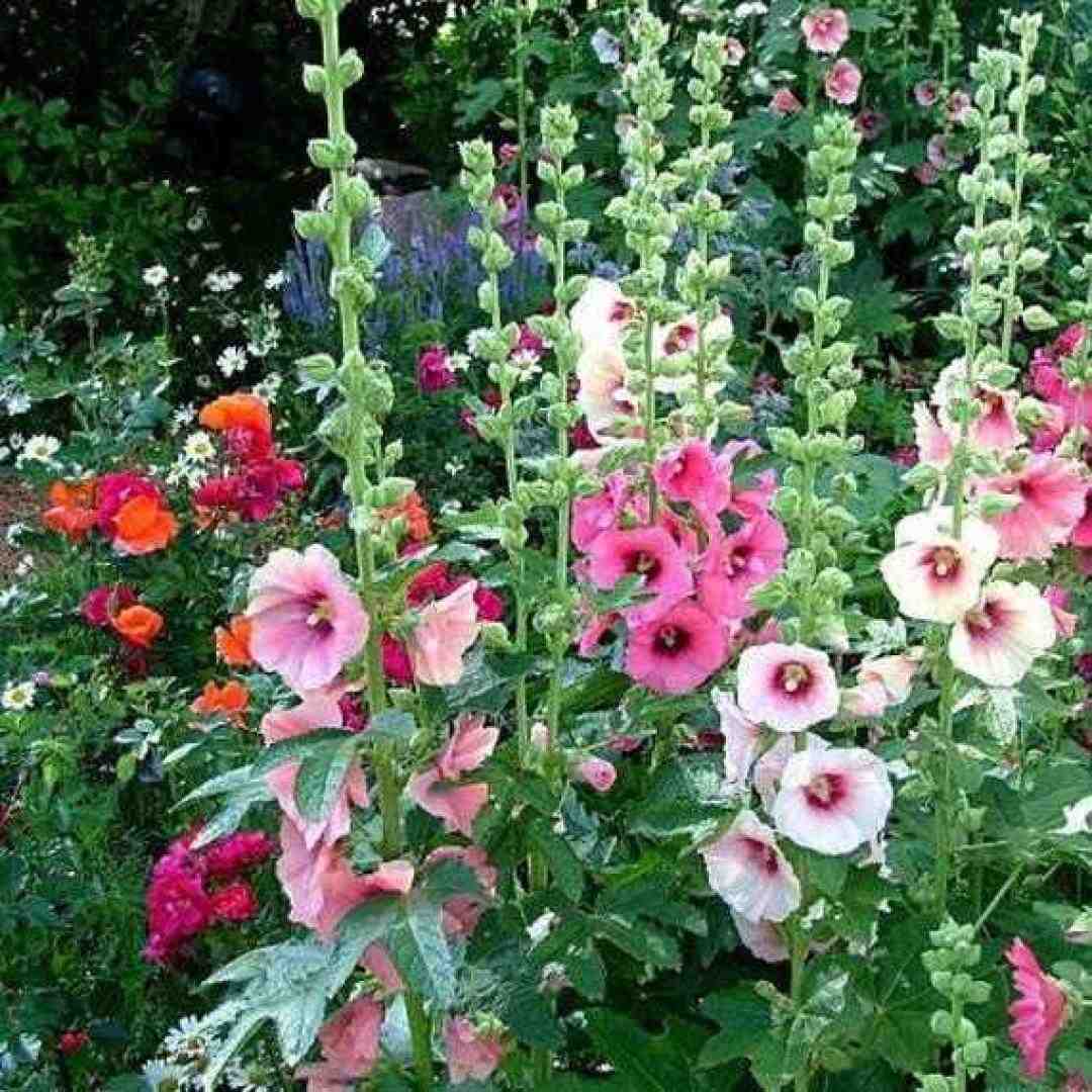 به حرفم گوش کن یا رب