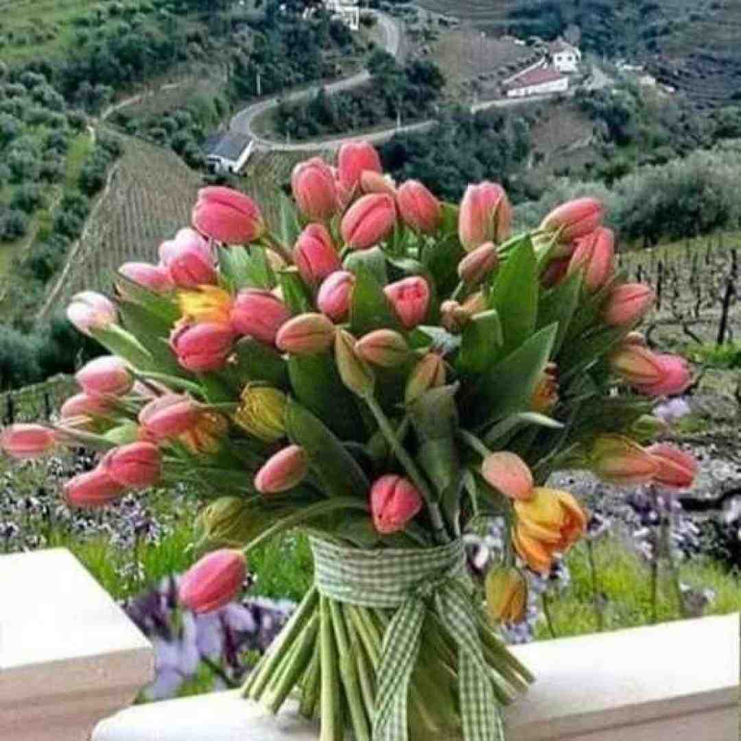  آخ مو سوختم مو برشتم که دیشو نومه نوشتم با صدای بچه