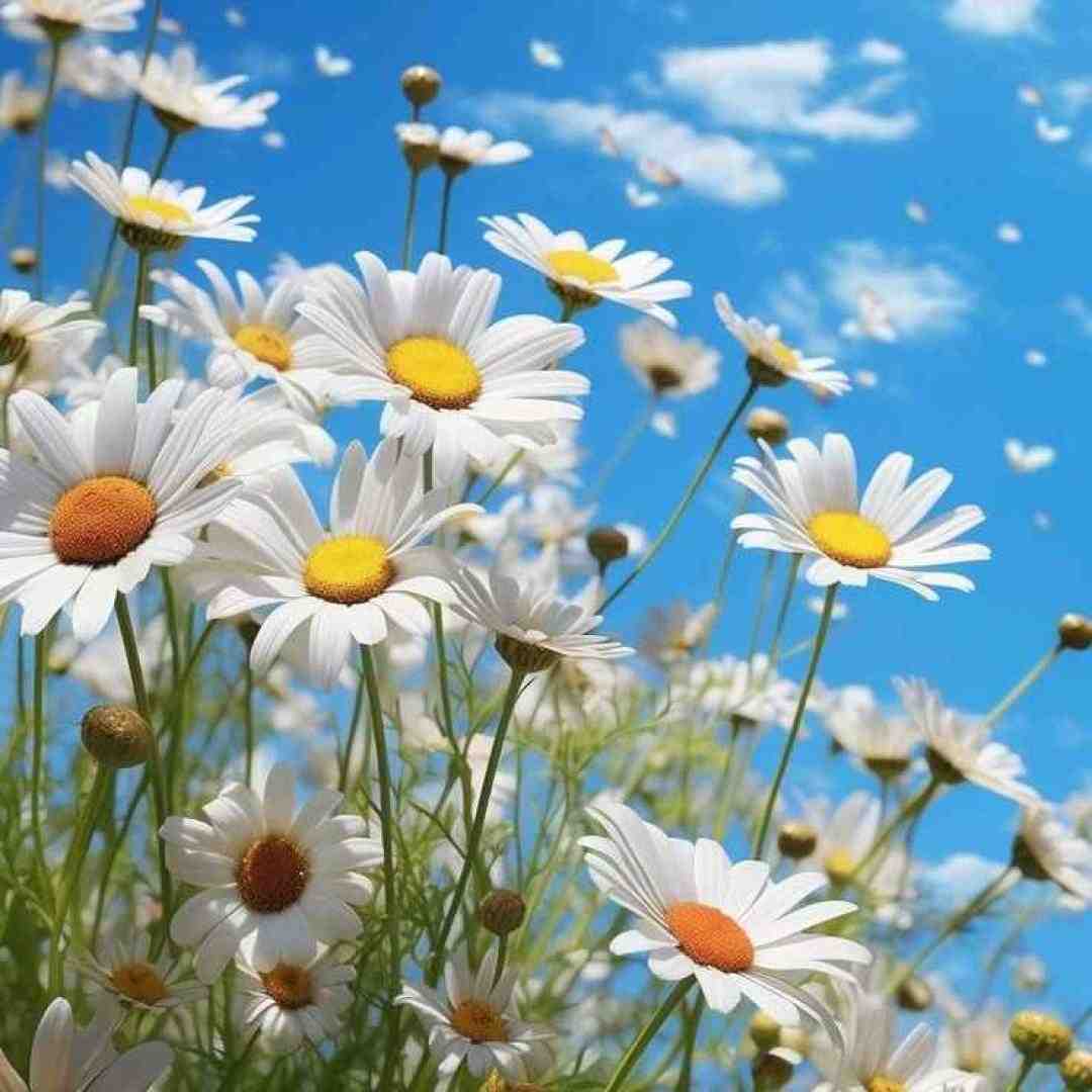  خوشگلی ترک کردنت واسم چیز آسونی نی
