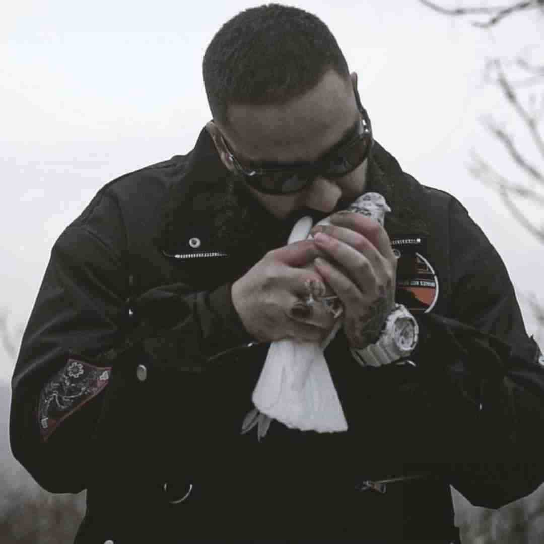 علی میر توام مثل من حس غم داری نمک نداره دست من